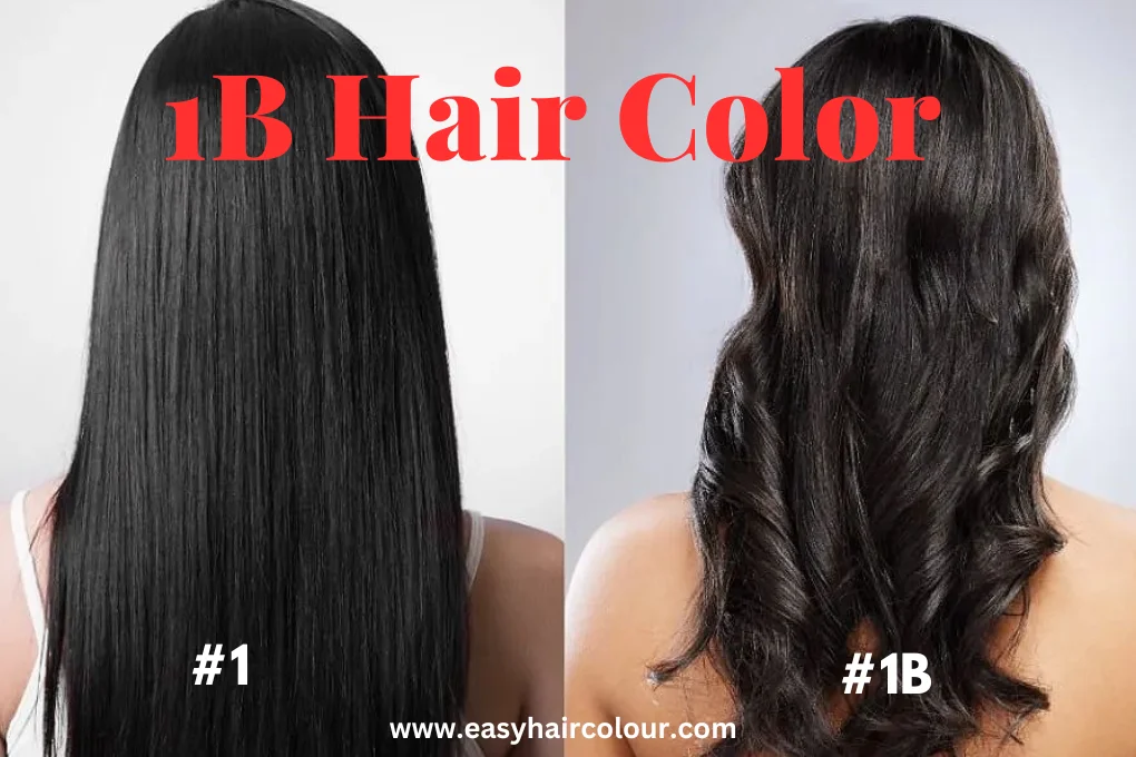 1B Hair Color