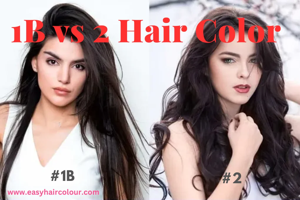 1B vs 2 Hair Color